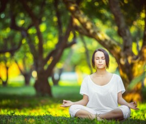 世界杯赛程数据-厄瓜多尔队变阵冲击黑马格局，决赛新阵值得期待